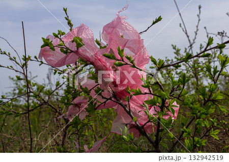 Plastic bag caught in branches, highlighting environmental pollution in a natural landscape Plastic bag caught in branches, highlighting environmental pollution in a natural landscape 132942519