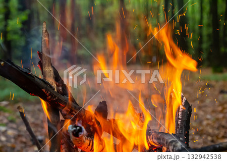 Warm flames dancing in a forest during a calm evening campfire gathering amidst autumn foliage Warm flames dancing in a forest during a calm evening campfire gathering amidst autumn foliage 132942538