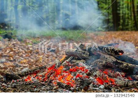 Campfire embers glow brightly amid fallen leaves in a tranquil forest during autumn attracting nature lovers for warmth and camaraderie Campfire embers glow brightly amid fallen leaves in a tranquil forest during autumn attracting nature lovers for warmth and camaraderie 132942540