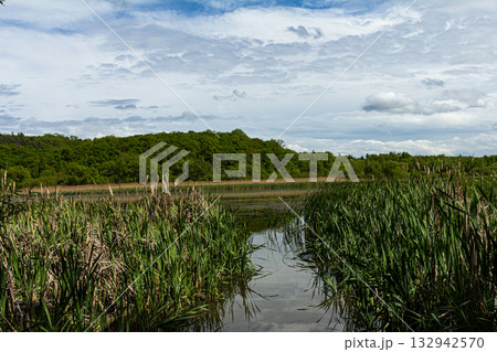 Serene view of a calm marshland under a cloudy sky with lush greenery and still water reflecting the natural beauty of the landscape Serene view of a calm marshland under a cloudy sky with lush greenery and still water reflecting the natural beauty of the landscape 132942570