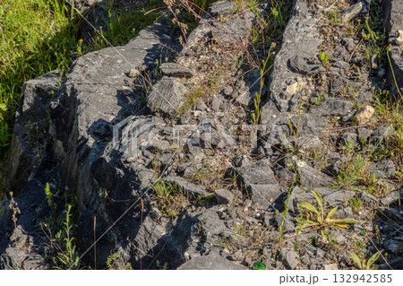 Rugged rocky terrain covered with small plants and grass located in a natural environment on a bright sunny day showcasing unique geological features 132942585