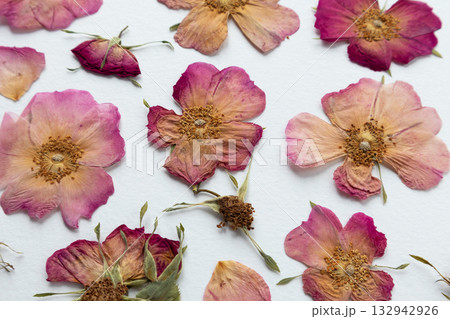 A set of dried pink flowers, rosehip buds and green leaves. medicinal plant. herbarium, scrapbooking 132942926