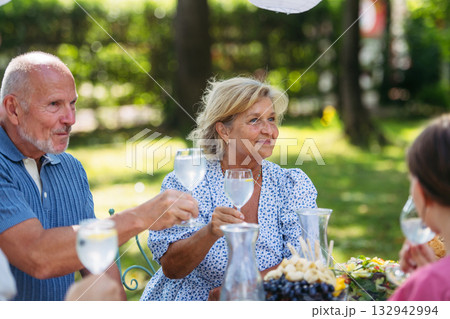 Multigenerational family toasting during outdoor barbecue party. 132942994