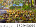 落ち葉の道路は色鮮やかに秋を迎える 132943099