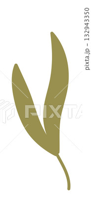 Flat kraft mistletoe ornament presents a green holiday branch style. Christmas plant and box accent add a festive gift mood, modern graphic look for seasonal backgrounds and elegant decor. Flat kraft mistletoe ornament presents a green holiday branch style. Christmas plant and box accent add a festive gift mood, modern graphic look for seasonal backgrounds and elegant decor. 132943350