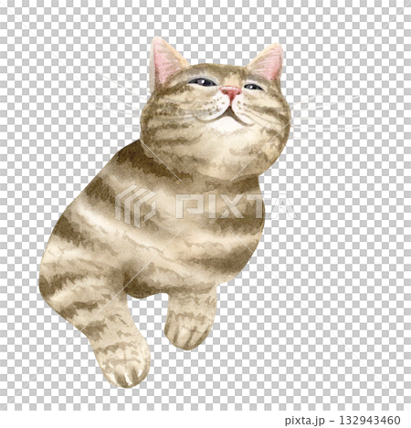 Funny brown tabby cat watercolor illustration isolated on white. Hand drawn striped pet laying and looking up clip art for domestic animals designs, rescue centers, foster homes and adoption materials Funny brown tabby cat watercolor illustration isolated on white. Hand drawn striped pet laying and looking up clip art for domestic animals designs, rescue centers, foster homes and adoption materials 132943460
