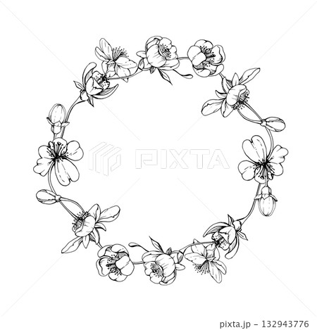 Cherry sakura white flower and bud on stems, hand drawn vector ink, apple blossom early spring wildflower botanical illustration. Isolated wreath frame, for wedding, florist shop, scrapbooking 132943776