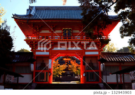 京都・新日吉神宮の紅葉に包まれた山門 京都・新日吉神宮の紅葉に包まれた山門 132943903