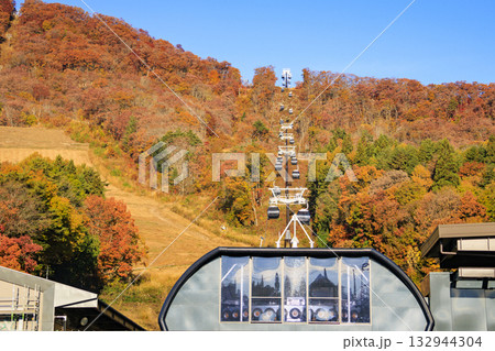 秋の岩岳マウンテンリゾートからの三段紅葉 秋の岩岳マウンテンリゾートからの三段紅葉 132944304
