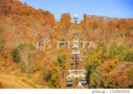 秋の岩岳マウンテンリゾートからの三段紅葉 132944305