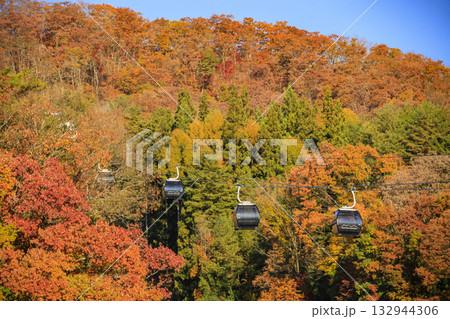 秋の岩岳マウンテンリゾートからの三段紅葉 132944306