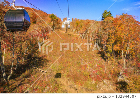 秋の岩岳マウンテンリゾートからの三段紅葉 132944307
