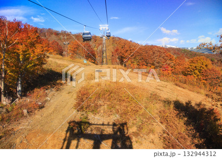 秋の岩岳マウンテンリゾートからの三段紅葉 132944312