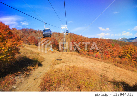 秋の岩岳マウンテンリゾートからの三段紅葉 132944313