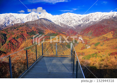 秋の岩岳マウンテンリゾートからの三段紅葉 132944318