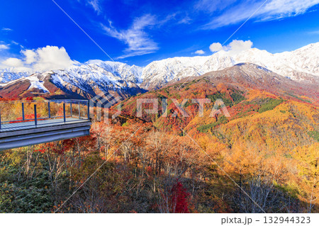 秋の岩岳マウンテンリゾートからの三段紅葉 秋の岩岳マウンテンリゾートからの三段紅葉 132944323