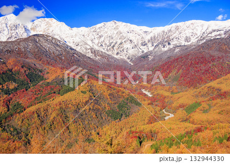 秋の岩岳マウンテンリゾートからの三段紅葉 132944330