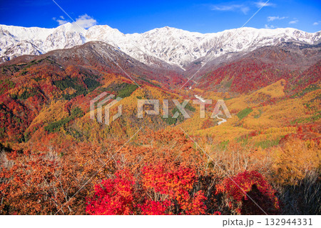 秋の岩岳マウンテンリゾートからの三段紅葉 132944331