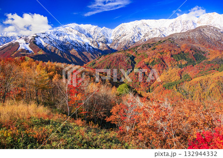 秋の岩岳マウンテンリゾートからの三段紅葉 秋の岩岳マウンテンリゾートからの三段紅葉 132944332