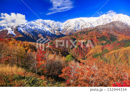 秋の岩岳マウンテンリゾートからの三段紅葉 秋の岩岳マウンテンリゾートからの三段紅葉 132944334