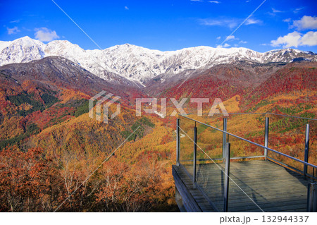 秋の岩岳マウンテンリゾートからの三段紅葉 132944337
