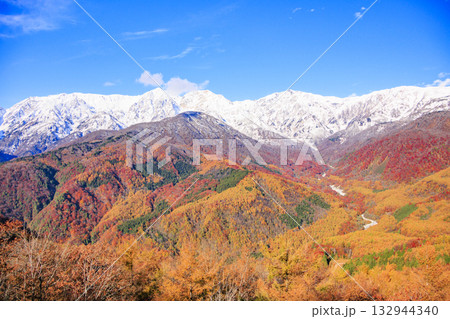 秋の岩岳マウンテンリゾートからの三段紅葉 132944340