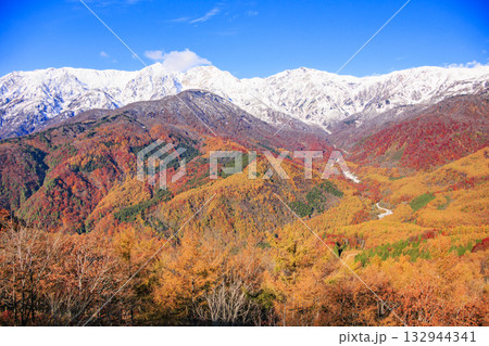 秋の岩岳マウンテンリゾートからの三段紅葉 132944341