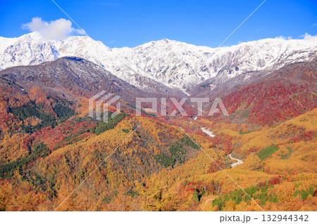 秋の岩岳マウンテンリゾートからの三段紅葉 132944342