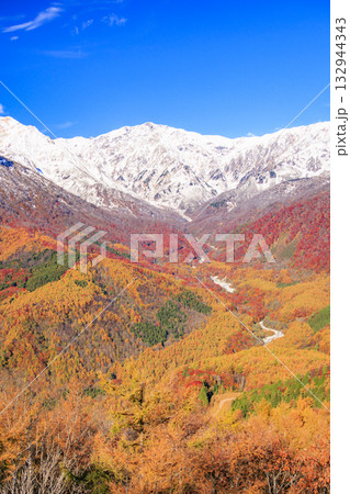 秋の岩岳マウンテンリゾートからの三段紅葉 132944343