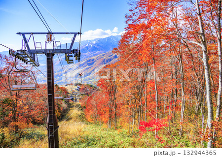 秋の岩岳マウンテンリゾートからの三段紅葉 132944365
