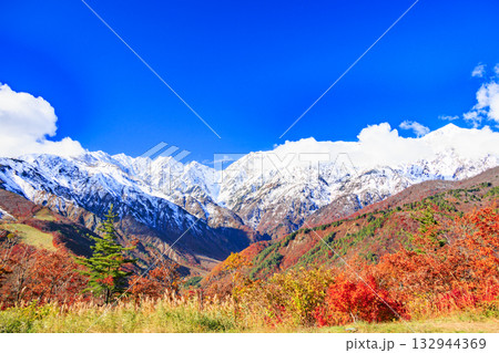 秋の岩岳マウンテンリゾートからの三段紅葉 秋の岩岳マウンテンリゾートからの三段紅葉 132944369