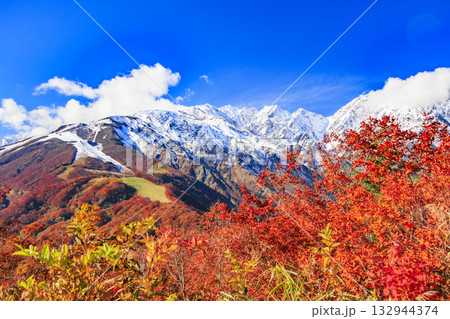 秋の岩岳マウンテンリゾートからの三段紅葉 132944374