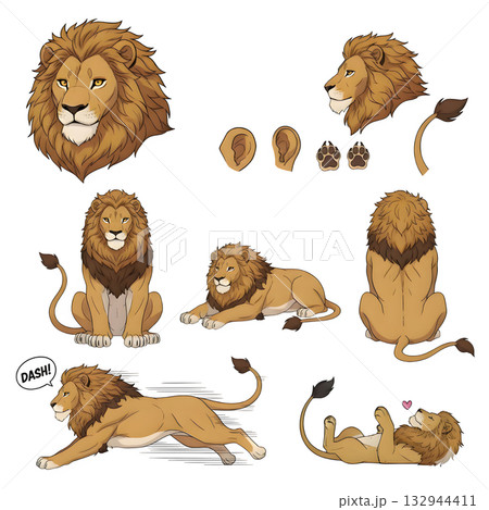 Set of Lion character. illustration design. Set of Lion character. illustration design. 132944411