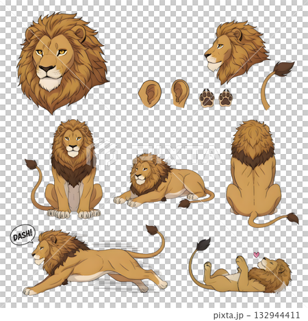 Set of Lion character. illustration design. Set of Lion character. illustration design. 132944411