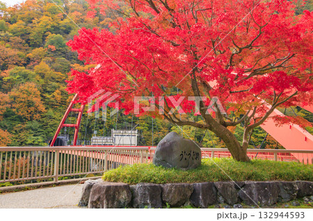 黒部峡谷 トロッコ鉄道 黒部峡谷 トロッコ鉄道 132944593