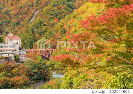 黒部峡谷　トロッコ鉄道 132944605