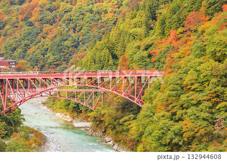 黒部峡谷　トロッコ鉄道 132944608