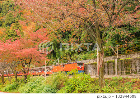 黒部峡谷　トロッコ鉄道 132944609