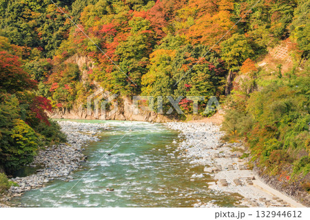 黒部峡谷 トロッコ鉄道 黒部峡谷 トロッコ鉄道 132944612