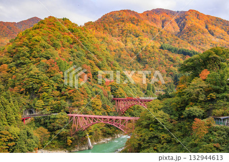 黒部峡谷　トロッコ鉄道 132944613