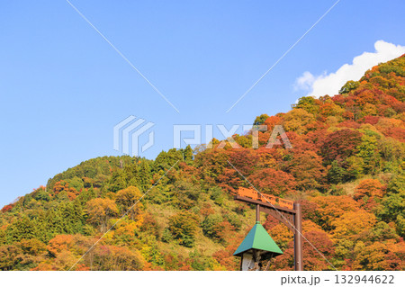 黒部峡谷　トロッコ鉄道 132944622