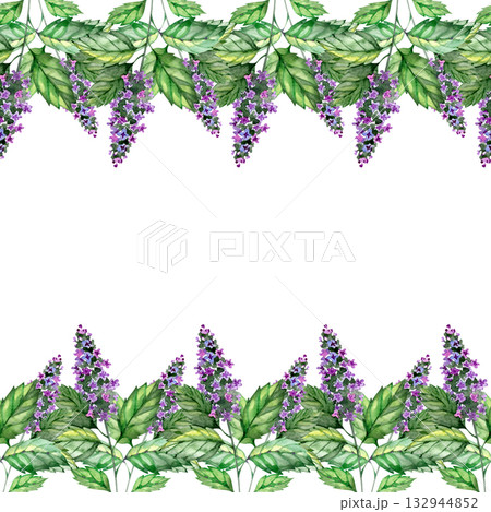 Patchouli frame with lilac flowers and green leaves, hand drawn illustration. 132944852