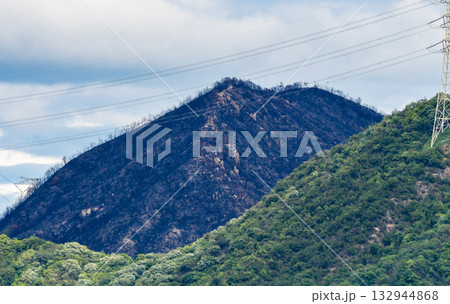 山火事のあと〜岡山市南区 山火事のあと〜岡山市南区 132944868