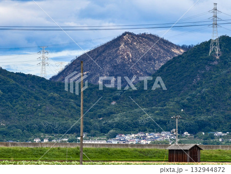 山火事のあと〜岡山市南区 山火事のあと〜岡山市南区 132944872