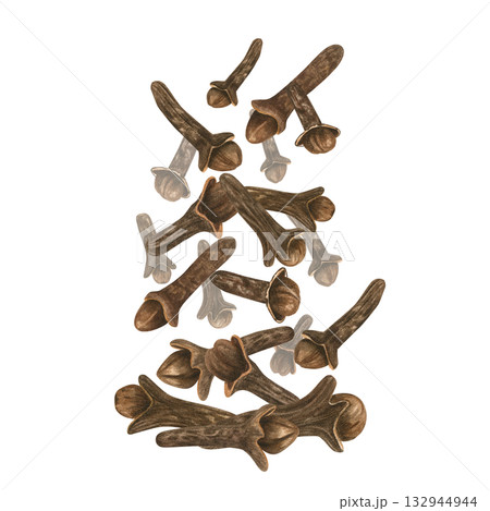 Falling dried cloves watercolor illustration on isolated background. Aromatic clove buds pile in levitation. Healthy organic spice for mulled wine, cooking. Natural product for recipe, package. Falling dried cloves watercolor illustration on isolated background. Aromatic clove buds pile in levitation. Healthy organic spice for mulled wine, cooking. Natural product for recipe, package. 132944944