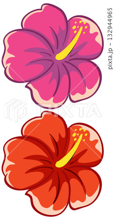 Colorful Hibiscus Flowers Vector Illustration with Bold Outlines 132944965