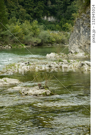 Mountain River Flow, Scenic Alpine Landscape. Mountain River Flow, Scenic Alpine Landscape. 132945014