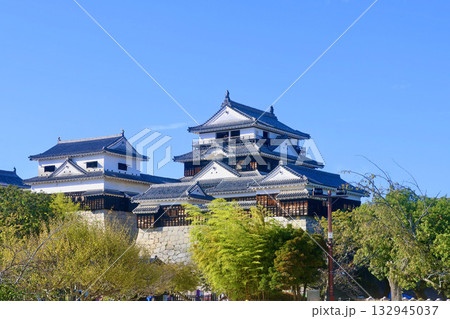 松山城・天守(愛媛県・松山市) 松山城・天守(愛媛県・松山市) 132945037