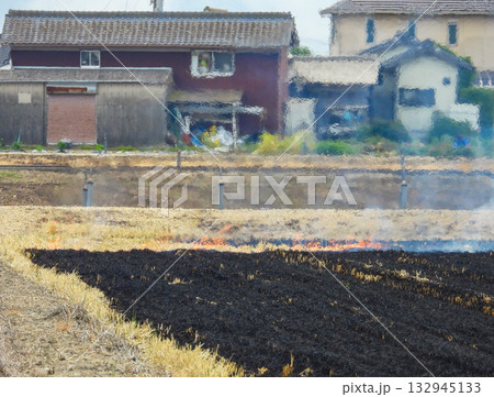 野焼きされる田んぼ 野焼きされる田んぼ 132945133