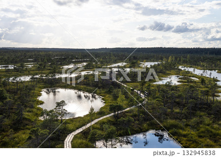 Drone panorama of Kemeri Bog boardwalk and pools, Jurmala, Latvia's raised peatland Drone panorama of Kemeri Bog boardwalk and pools, Jurmala, Latvia's raised peatland 132945838